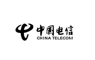 中國電信部門調(diào)整！設(shè)立網(wǎng)絡(luò)和信息安全管理部